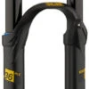 RXF36 M.2 Air 29" Boost Federgabel 2 RXF36 M.2 Air 29" Boost Federgabel -Fox Racing Shox 388173